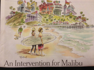 Too many rehab centers