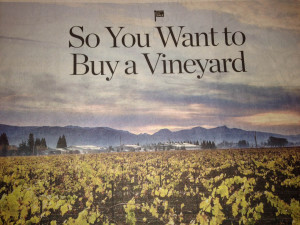 Owning a Vineyard